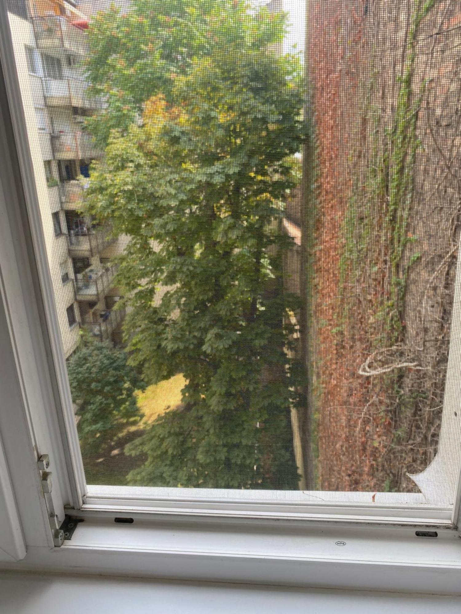 Budapest Oasis One Bedroom For Renting Zewnętrze zdjęcie